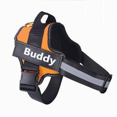 Personalized NO Pull Dog Harness