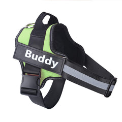 Personalized NO Pull Dog Harness