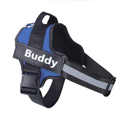 Personalized NO Pull Dog Harness