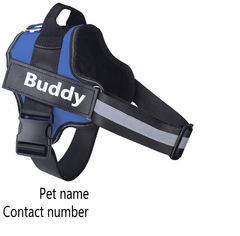 Personalized NO Pull Dog Harness